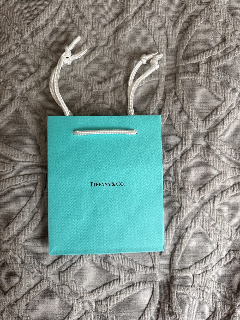 Tiffany & Co. Mini Gift Bag in Signature Blue with White Cord